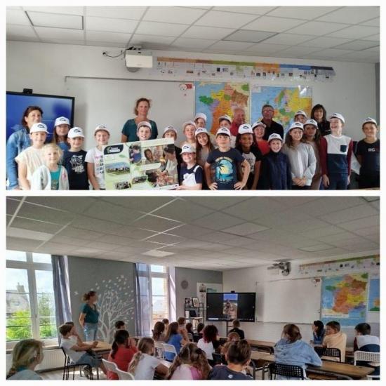 Jeunes pousses 1